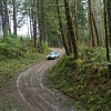 132891993-L-1.jpg