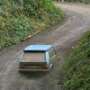 132903892-L-1.jpg